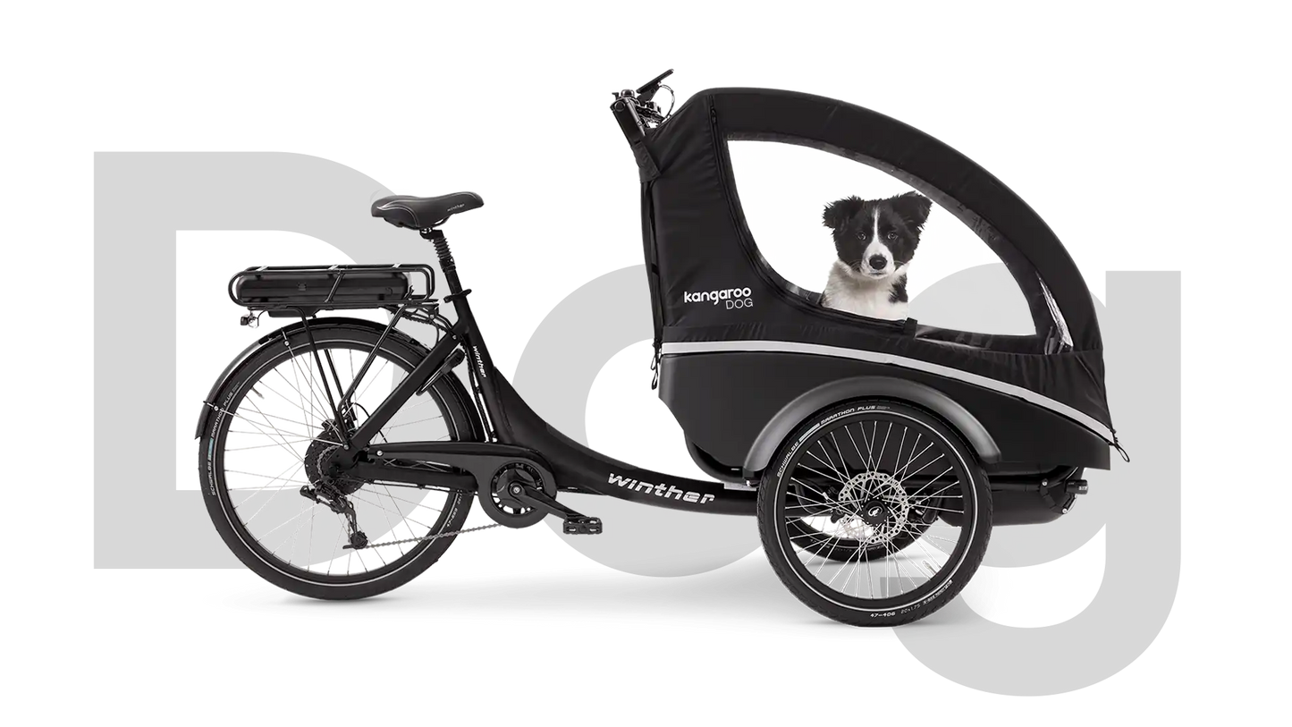 Lastenrad für Hunde - winther